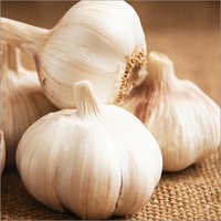 Dried Garlic - Dried Garlic Powder | White Color, Bulk Packaging, 12-month Shelf Life, Rich In Vitamins And Antioxidants, Free From Pesticides, Ideal For Culinary Use