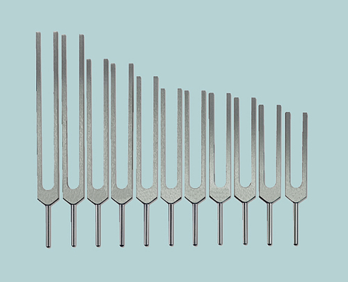 Tuning Fork By SHARMA SCIENTIFIC INDUSTRIES