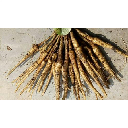 Red Sandalwood Roots