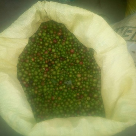 Curry Leaf Seeds With Skin Seeds
