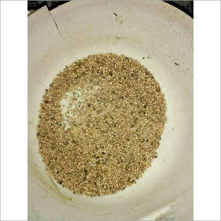 Guava Amrood Seeds