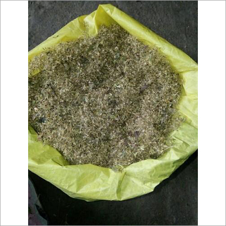 Sugar Free Plant Seeds