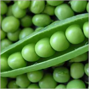 Green Peas