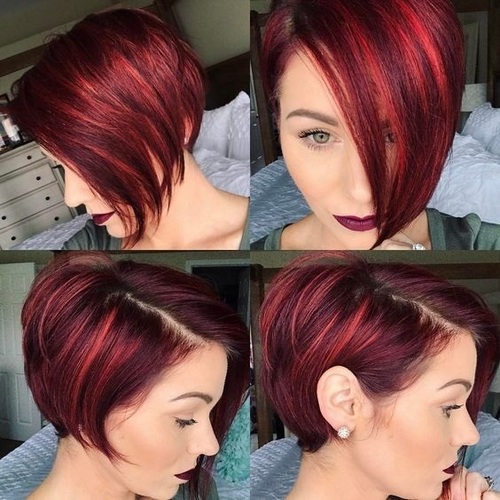 Indian Bob Red