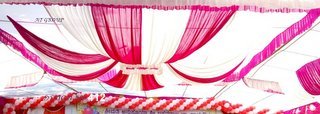 Professional Mandap ceiling design