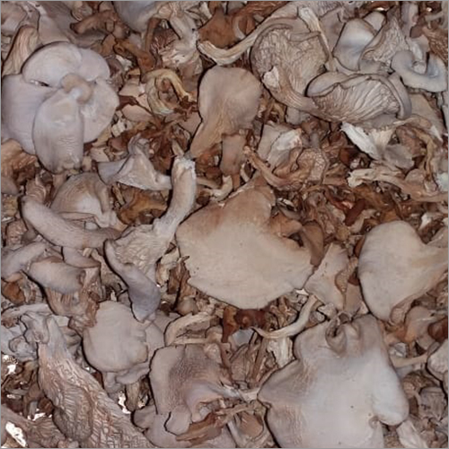 Dry Button Mushroom