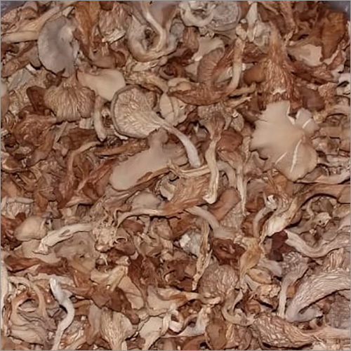 Dry Mushroom
