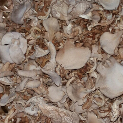 Dry Mushroom Flakes