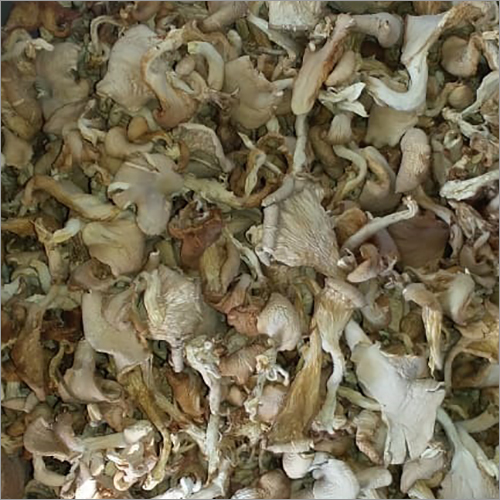 Dehydrated Mushroom