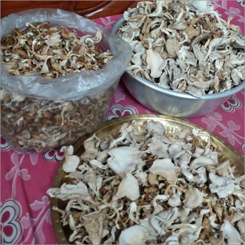 Dry White Mushroom