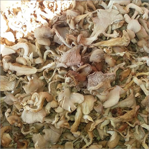 Dry Brown Mushroom Flakes
