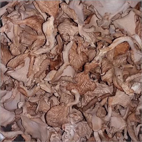 Dry Oyster Mushroom