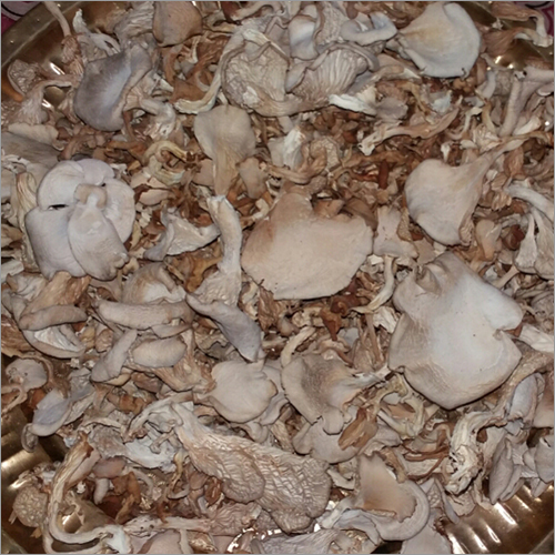 Dehydrated Oyster Mushroom