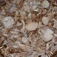 Dehydrated Oyster Mushroom