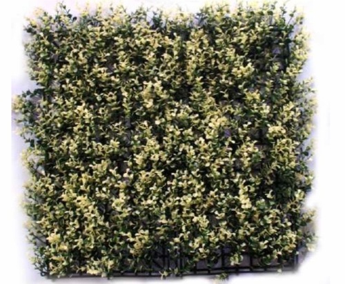 Outdoor Vertical Green Wall Outdoor Vertical Green Wall