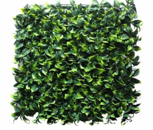 Outdoor Vertical Green wall Outdoor Vertical Green wall