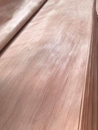 Bintangor Veneer - 8'x4', 2mm Thickness, Natural Brown Or Red | Premium Quality, High Density, Easy To Shape, Corrosion Resistant