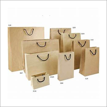 Paper Shopping Bag - Kraft Brown Paper, Varied Sizes, Matte Finish | Durable, Lightweight, Twisted Paper Cord Handle