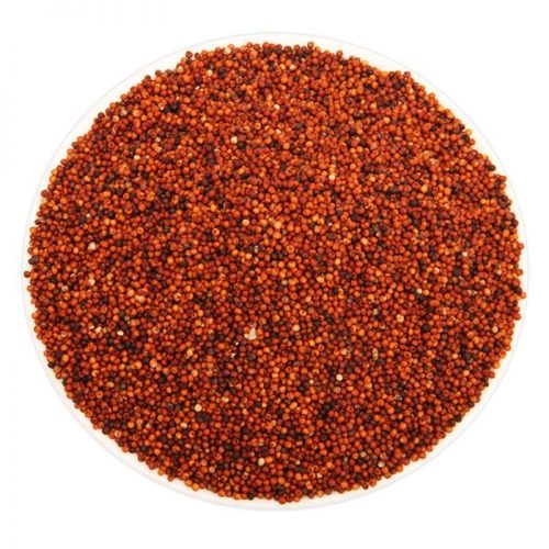 Red Millet