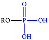 Phosphate Esters