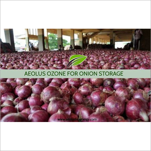 Onion Storage and Preservation with Aeolus Ozone