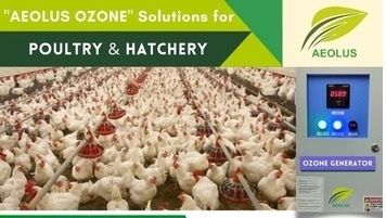 Poultry And Hatchery Ozone System By Aeolus