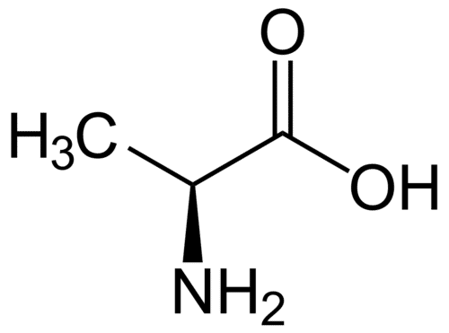 B-ALANINE (for biochemistry)