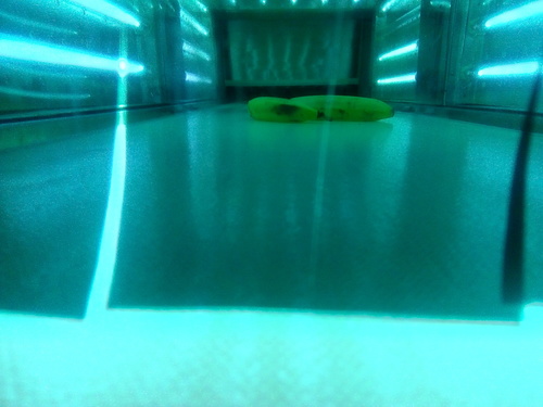UV Sterilization System