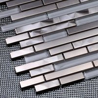 Stainless Steel Strip