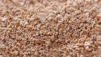 Psyllium Husk Powder - 98% Purity, 80 Mesh Size | Natural Herbal Supplement For All Age Groups, Gentle Laxative, Supports Digestive Health