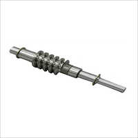 Worm Shaft
