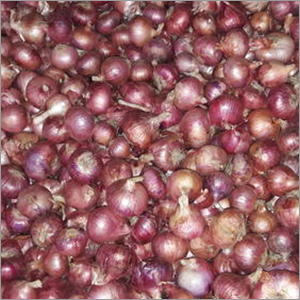 Fresh Red Onions