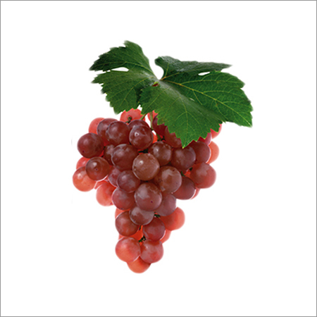 Fresh Red Grapes - Seedless, Crisp-Juicy Texture, Excellent Sweet Flavor | Available in Various Quantity Packs
