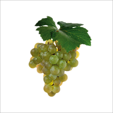 Fresh Green Grapes - Bulk Supply | Rich in Vitamin K, Antioxidant-Packed, Ideal Healthy Snack