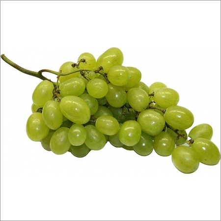 Green Grapes - Common Cultivation | Hygienically Packed for Freshness, Nutritional Value Retained for Extended Shelf Life