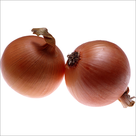 Fresh Onion Fresh Onion
