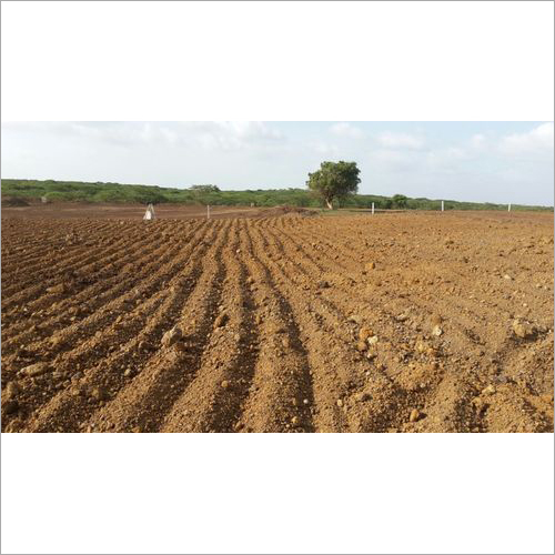 Bentonite Raw Mineral