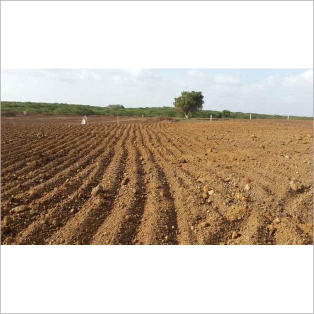 Bentonite Raw Mineral Bentonite Raw Mineral