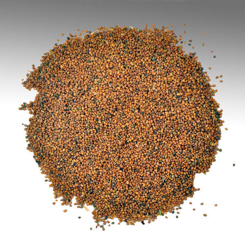 Taramira Seed Oil (Eruca Sativa)