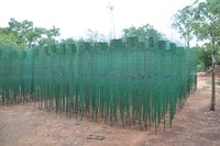 सैपलिंग प्रोटेक्टर