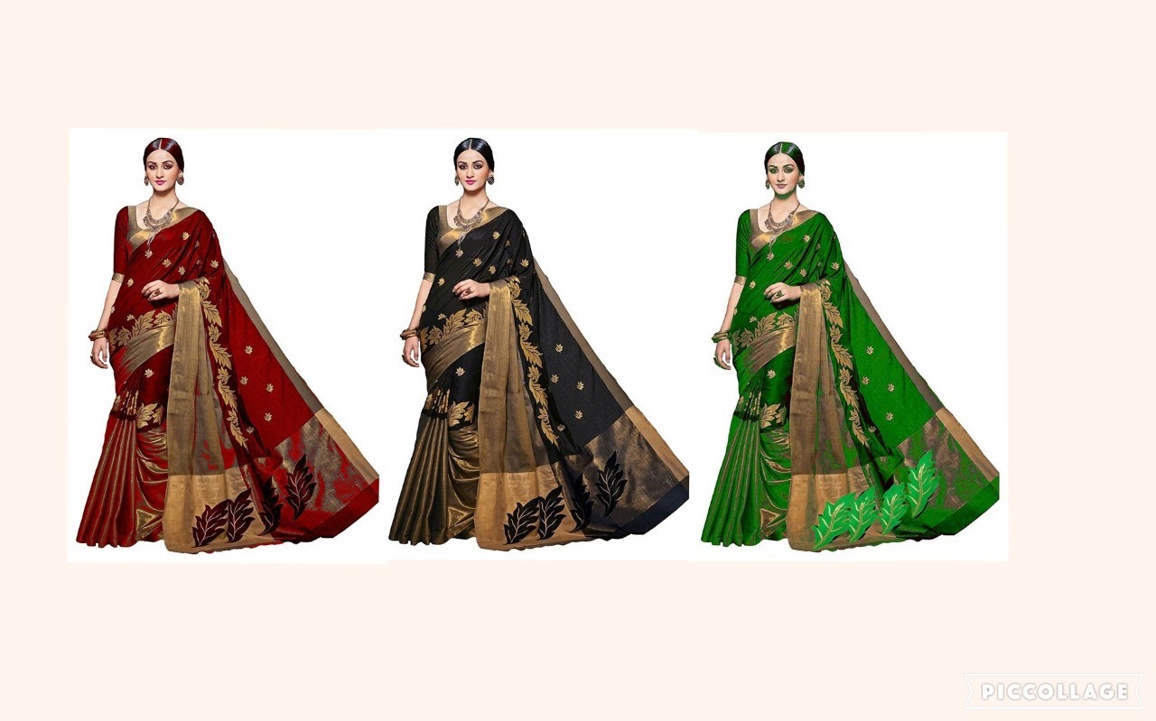 Visava Work saree