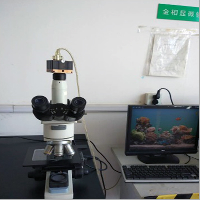 Microscope 5X-100X