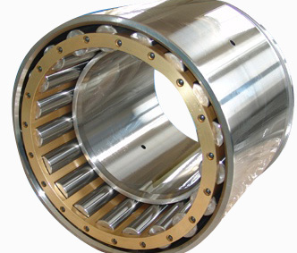 Double Row Cylindrical Roller Bearing