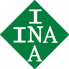 INA Bearing