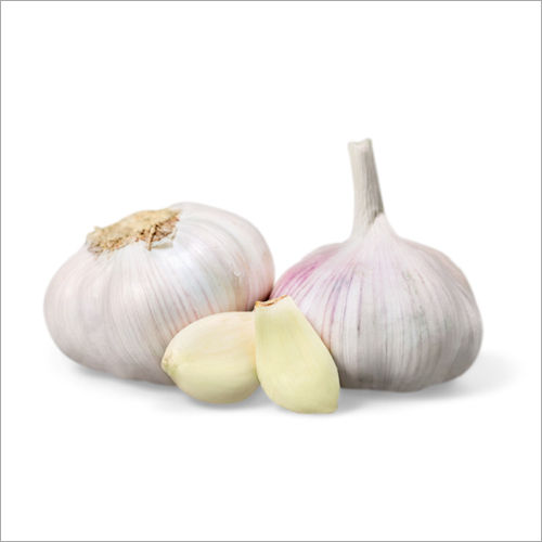 Fresh Garlic