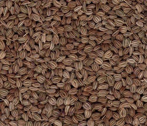 Ajwain Seeds - Organic Hybrid Carom Seeds | 99.95% Purity, Brown Color, 5-Year Shelf Life