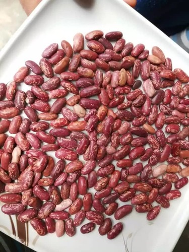 Speckled Kidney Bean