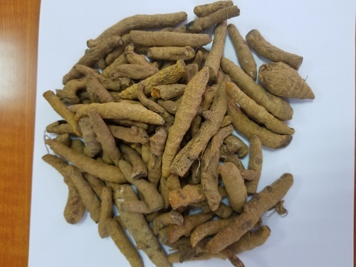 Organic Turmeric