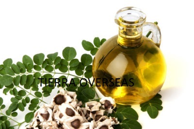 Moringa Seed Oil Ingredients: Herbal Extract