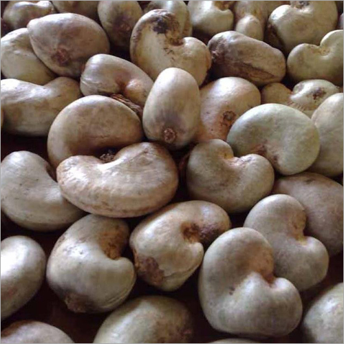 Organic Raw Cashew Nuts